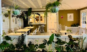 Botanic Cafe Courtyard